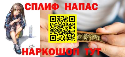 СК Бердск