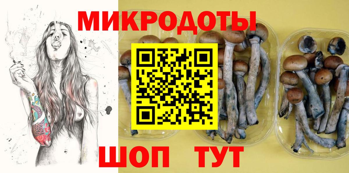 Псилоцибиновые грибы MAGIC MUSHROOMS  Вход с VPN  Казань  Псилоцибиновые грибы мухоморы 