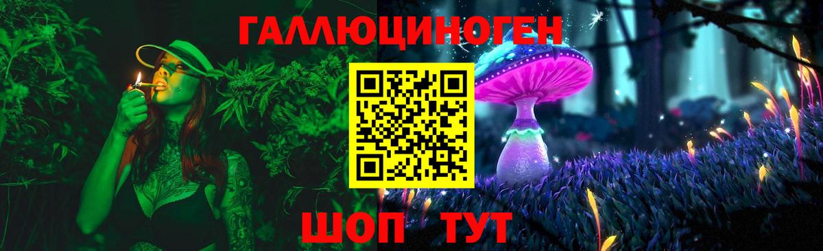 Галлюциногенные грибы Psilocybine cubensis Казань